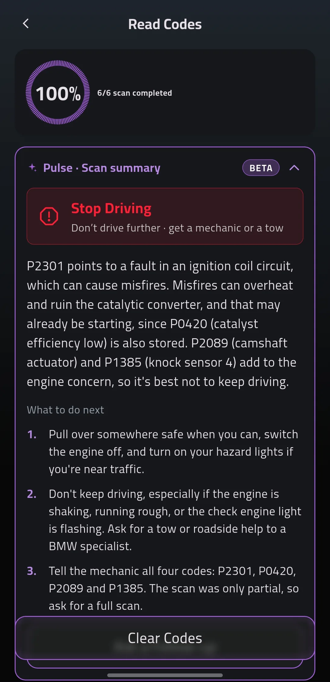 A Read Codes scan with Pulse's scan summary: Stop Driving